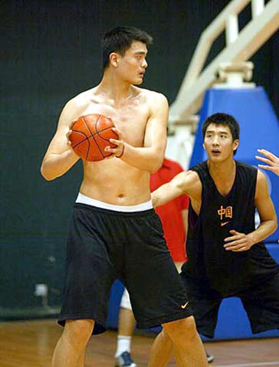 老将与新星