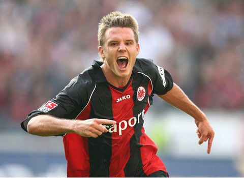 荣誉的资深 荣誉的资深