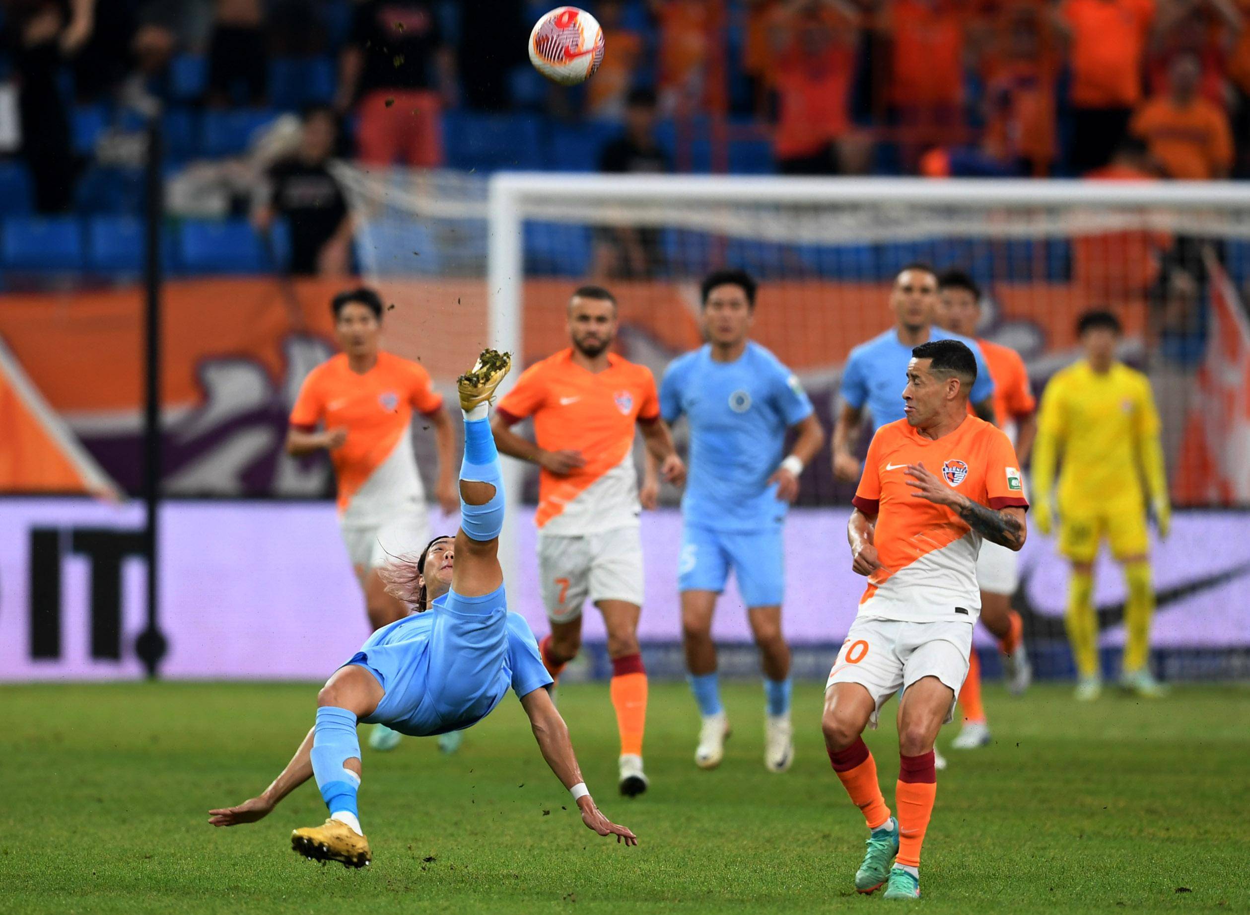 这种全能的 这种全能的