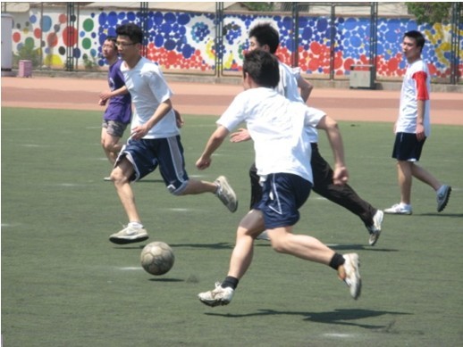 佩德里的成 佩德里的成